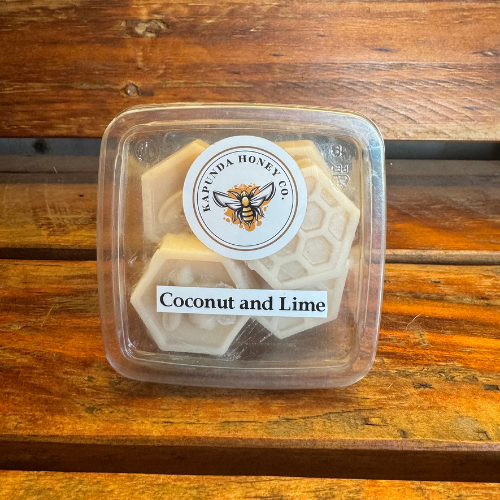 Beeswax Melts - 10 Pack